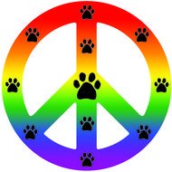 Rainbow Peace Sign N2