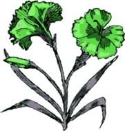Flower Vector Clip Art N11
