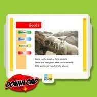 Three Billy Goats drawing