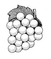 Grapes Clip Art Black And White drawing