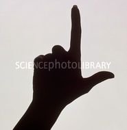 Hand Pointing Silhouette N3