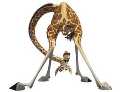 funny Madagascar giraffe