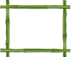 bamboo border green drawing