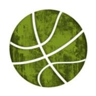 Basketball Icon N2