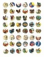 Vintage Fairy Clip Art N3