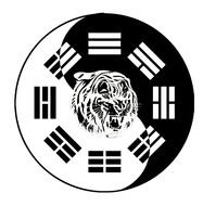 painted tiger head on yin yang symbol