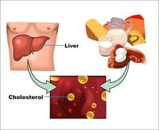 What Is High Cholesterol