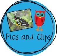Idea Clip Art N11
