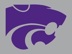 State Wildcats Logo drawing