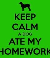 Dog Ate My Homework N2