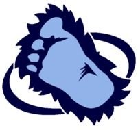 Colorado Avalanche Foot Logo N2