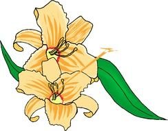 Yellow Flower Clip Art N37