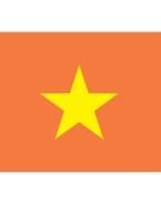 Old Vietnam Flag
