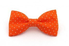 orange butterfly tie with white polka dots