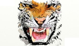 Tiger Graphic Art drawing