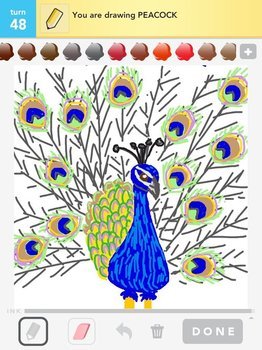 Drawing Sketches Of Peacocks