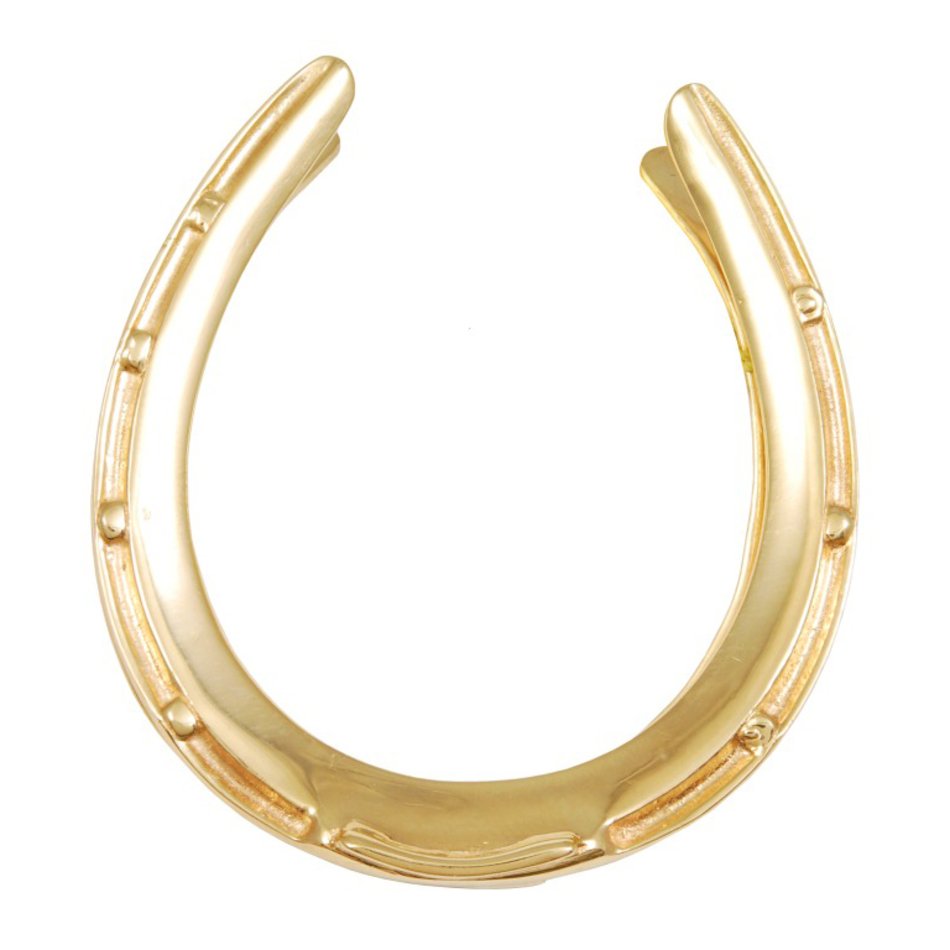 Tiffany And Co Horseshoe Necklace