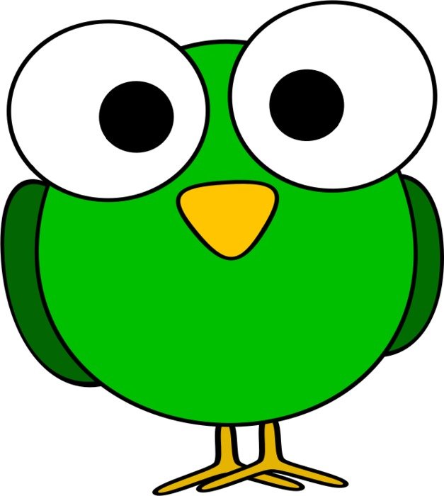 Cartoons Birds With Big Eyes N4