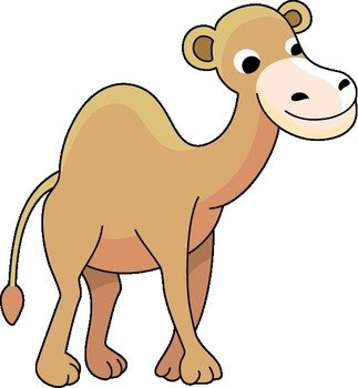 Camel Clip Art N50