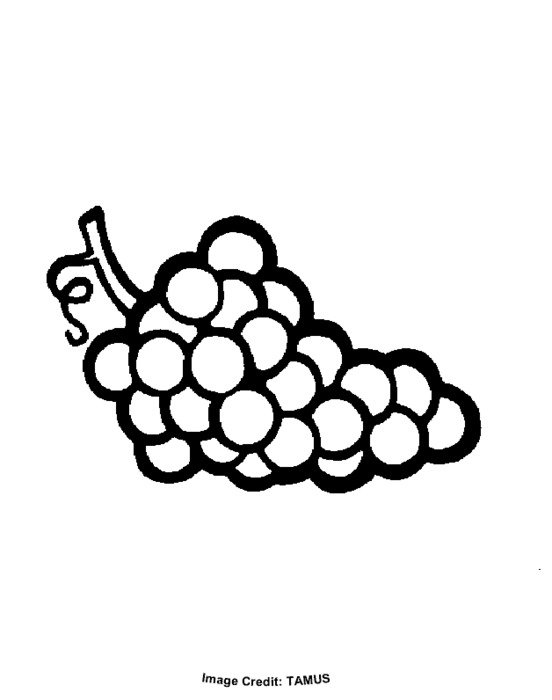 Grapes Coloring Page N5