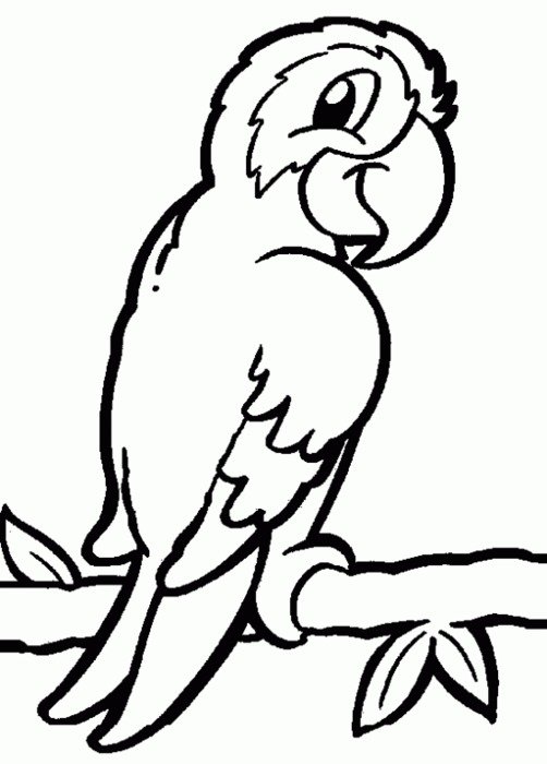 Parrot Coloring Pages N2
