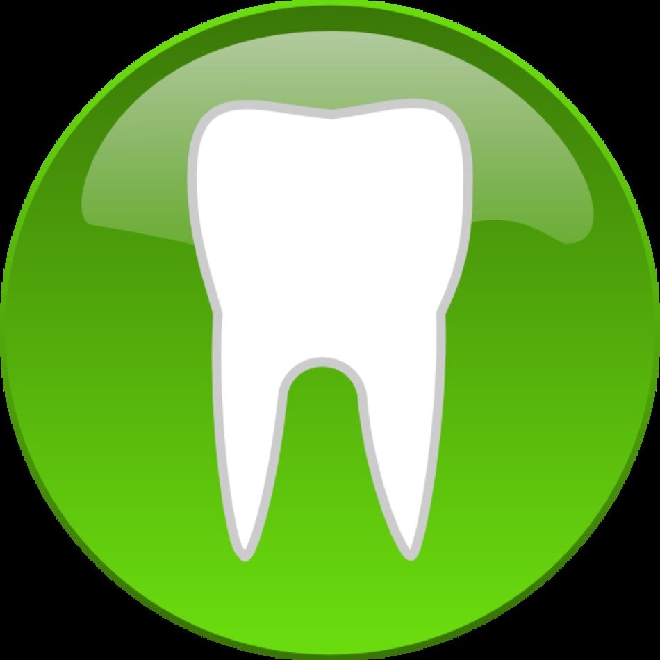Dental Tooth Clip Art N10