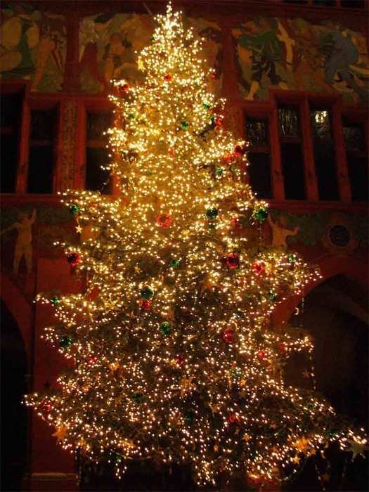 Beautiful Christmas Tree as a picture for a clipart