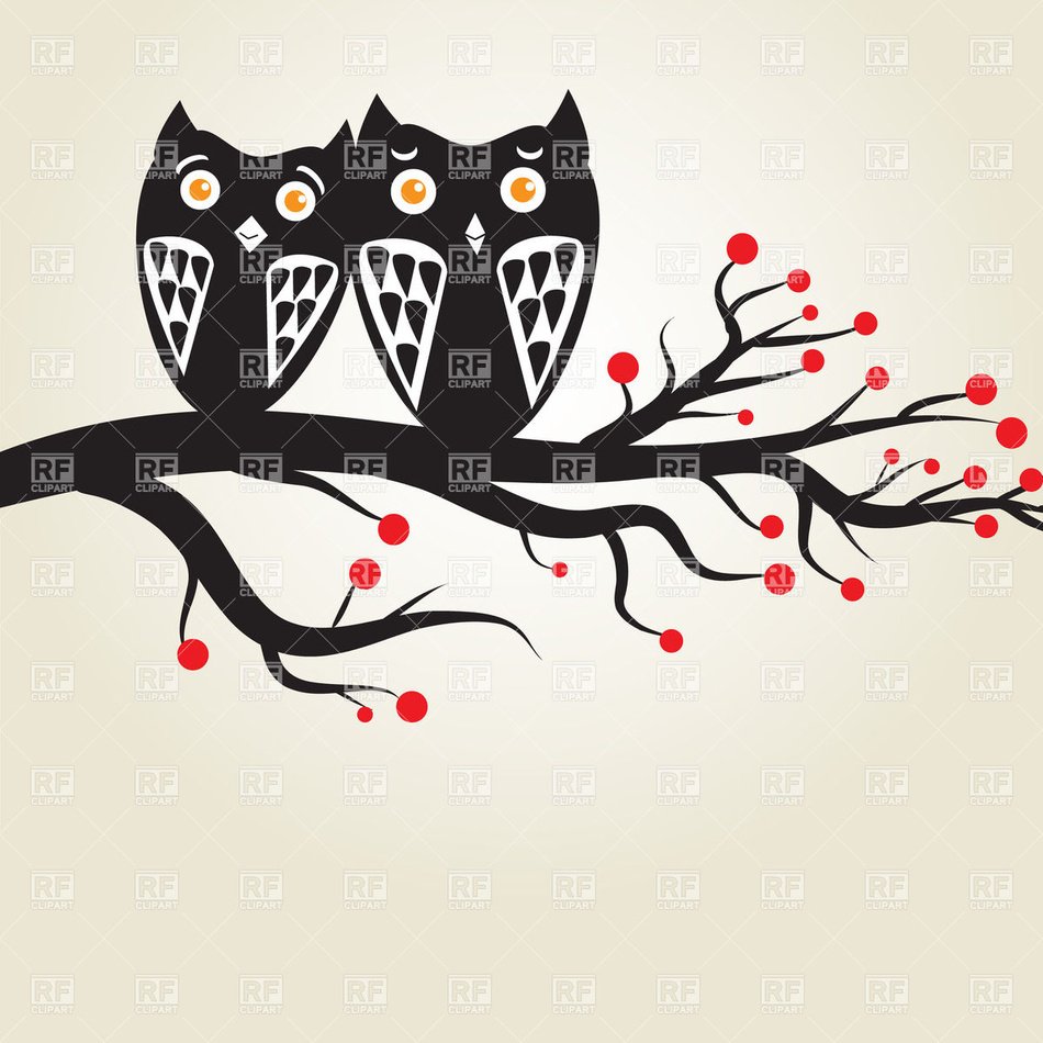 Owl On Tree Branch Clip Art N13