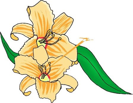 Yellow Flower Clip Art N37