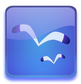 Cartoon Seagull Clip Art N8