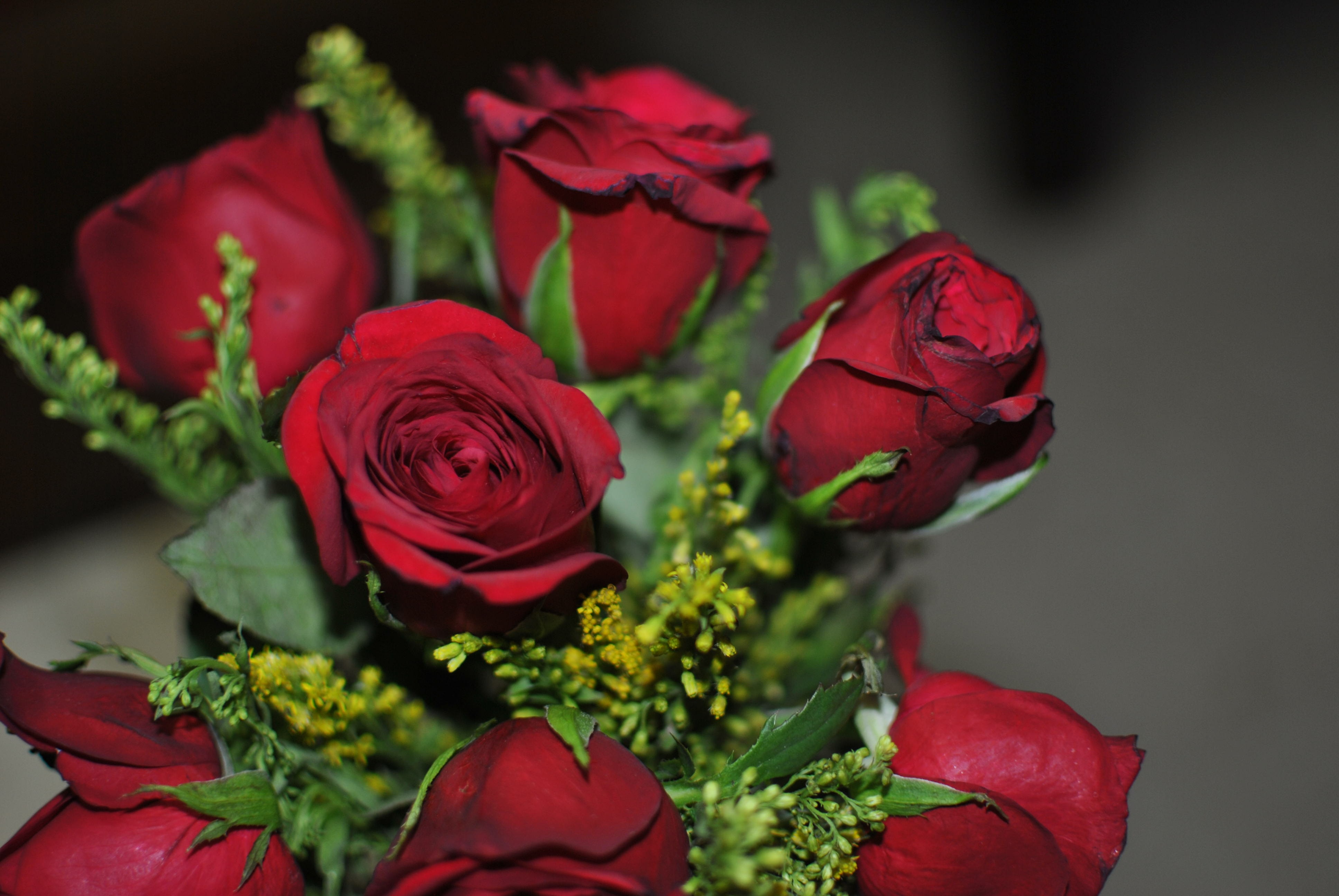 True Romantic Red Rose Bouquet
