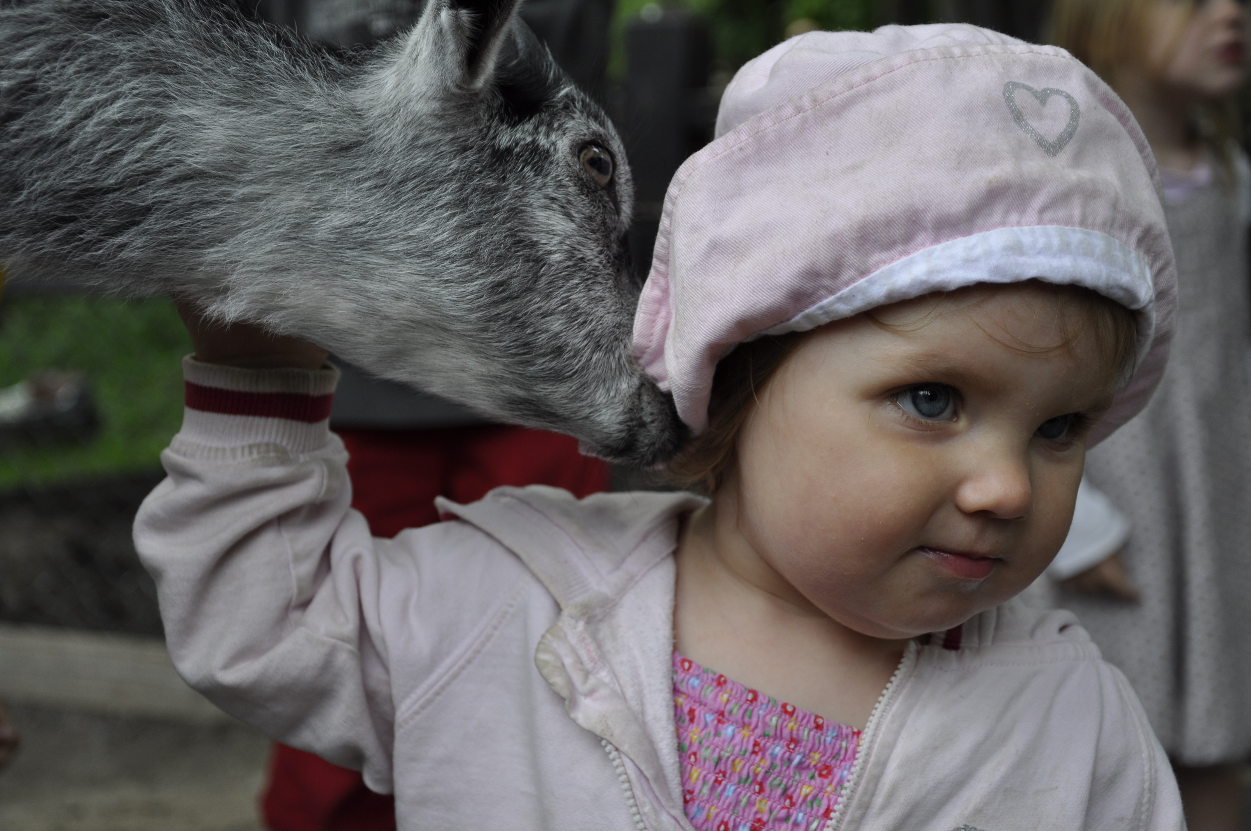 Child and love for animals free image download