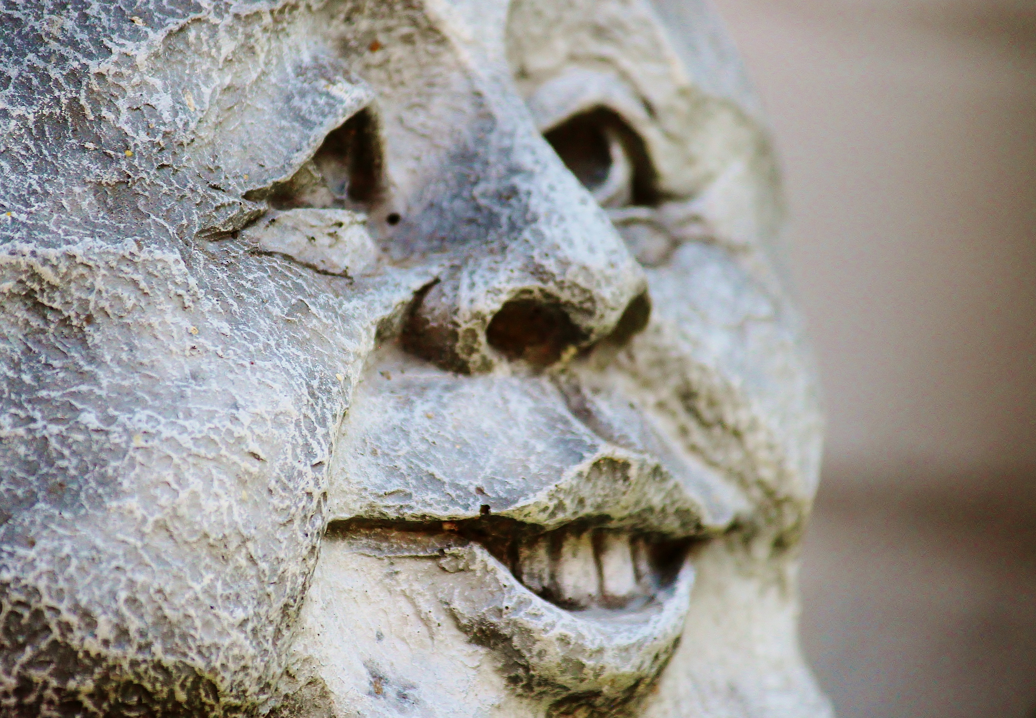 Что означает каменное лицо. Каменное лицо. Лицо из камня. Статуя Каменное лицо. Камень с лицом.