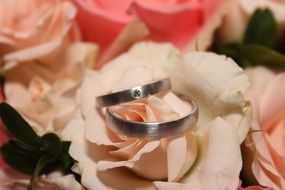 wedding ring love flower rose beautiful