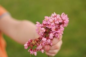 flower on hand