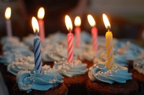 candles in cupcakes for a birthday