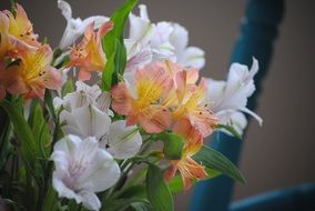 flowers orange white