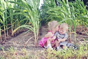 child girl kissing boy on corn field