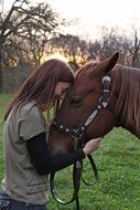 Girl and cute brown horse in love