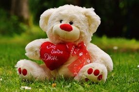teddy bear gift on valentine s day