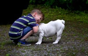 child boy plays with white dog outdoor