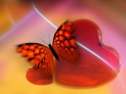 orange butterfly on a blurry red heart