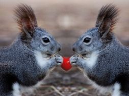 squirrel with ceramic heart