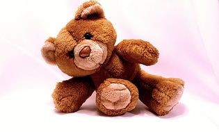 teddy bear, cute soft toy