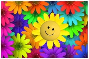yellow daisy with a smiley
