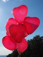 Red balloons in the shape of a heart on a nature background