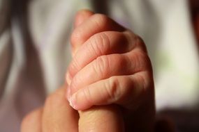 baby holding hand infant child