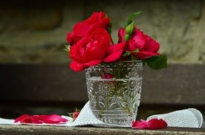 Red roses in a glass pot