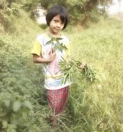 asian child girl with green plants in hands