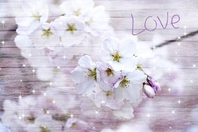 cherry blossom and love lettering